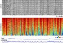 New insight on how neural dynamics vary during spontaneous behavior