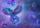 How do Antibodies Cause Disease?