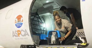 Hurricane Ian Response: ASPCA Assists Animals Impacted by Storm