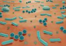 Insight into the Skin Microbiome